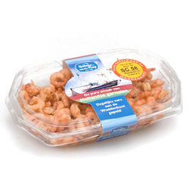 Heidema vd Ploeg brown shrimp